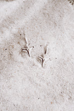 Load image into Gallery viewer, Reef Hoops