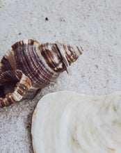 Load image into Gallery viewer, Swell Ring