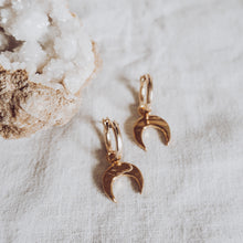 Load image into Gallery viewer, Sasi Hoops