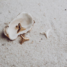 Load image into Gallery viewer, Reef Studs