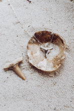 Load image into Gallery viewer, Reef Necklace