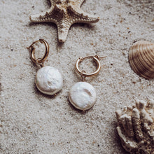 Load image into Gallery viewer, Nori Hoops