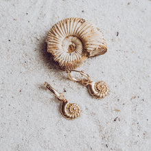 Load image into Gallery viewer, Bay Hoops