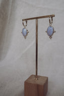 Coastal Cowgirl Earrings